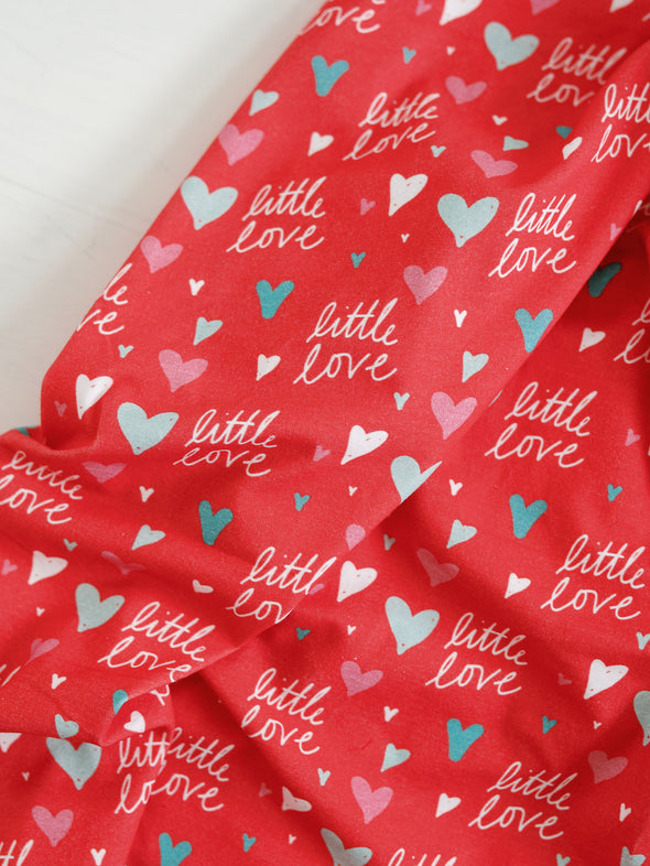Little Love Swaddle + Toddler Blanket