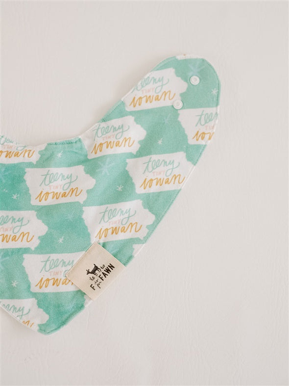 Teeny Tiny Iowan Bib