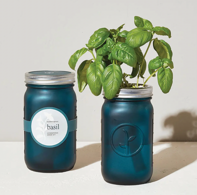 Garden Jar - Basil